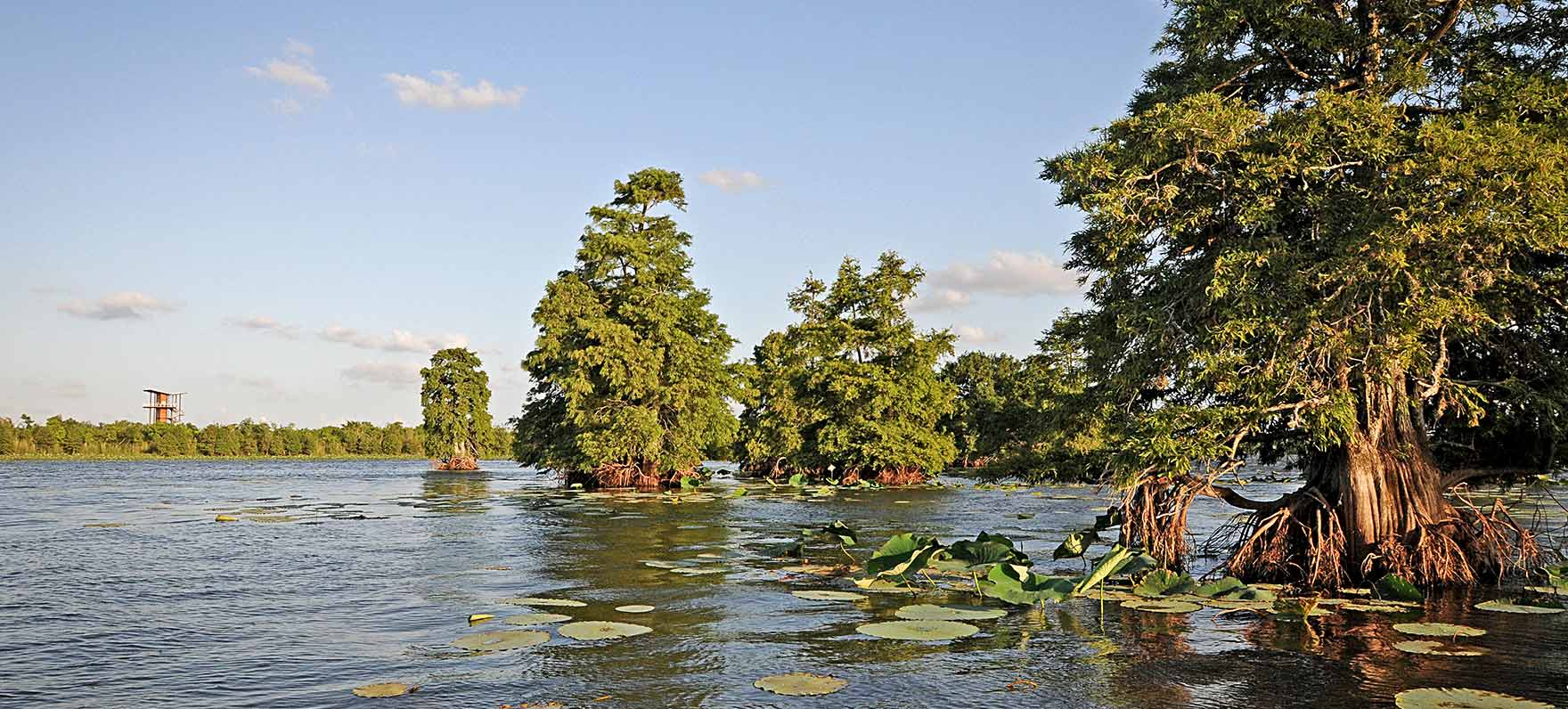 Sheldon Lake State Park