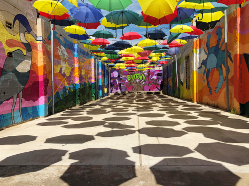 Umbrella Alley