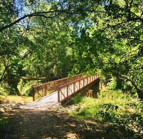 Houston Aboretum and nature center